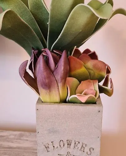 Casa Mari Y José Con Grandes Piscinas Y Wifi Gratis * Corralejo