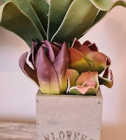 Casa Mari Y Jose Con Grandes Piscinas Y Wifi Gratis * Corralejo